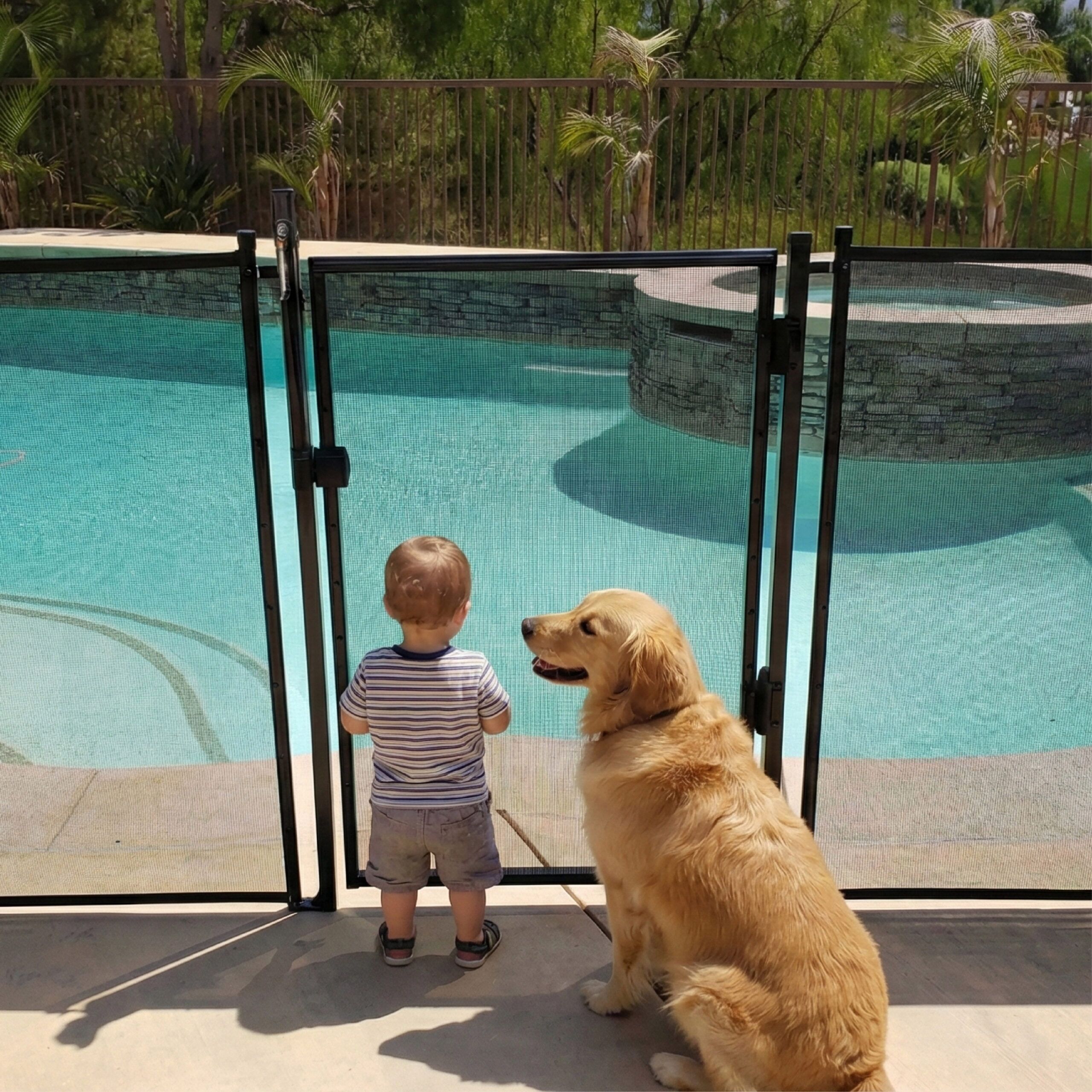 Pool Fence Gate Kit 4-Foot-01 Pool Fence Gate Kit 4-Foot