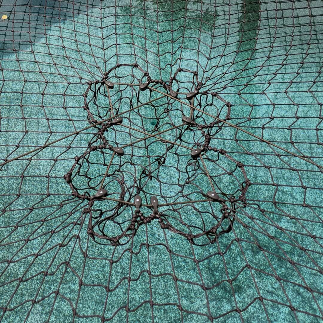 Brown Pulley CTS on pool Brown Pulley CTS on pool