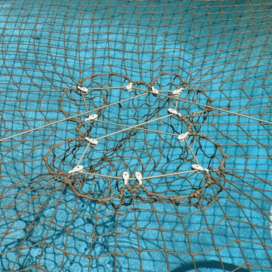 Tan Pulley CTS on pool Tan Pulley CTS on pool