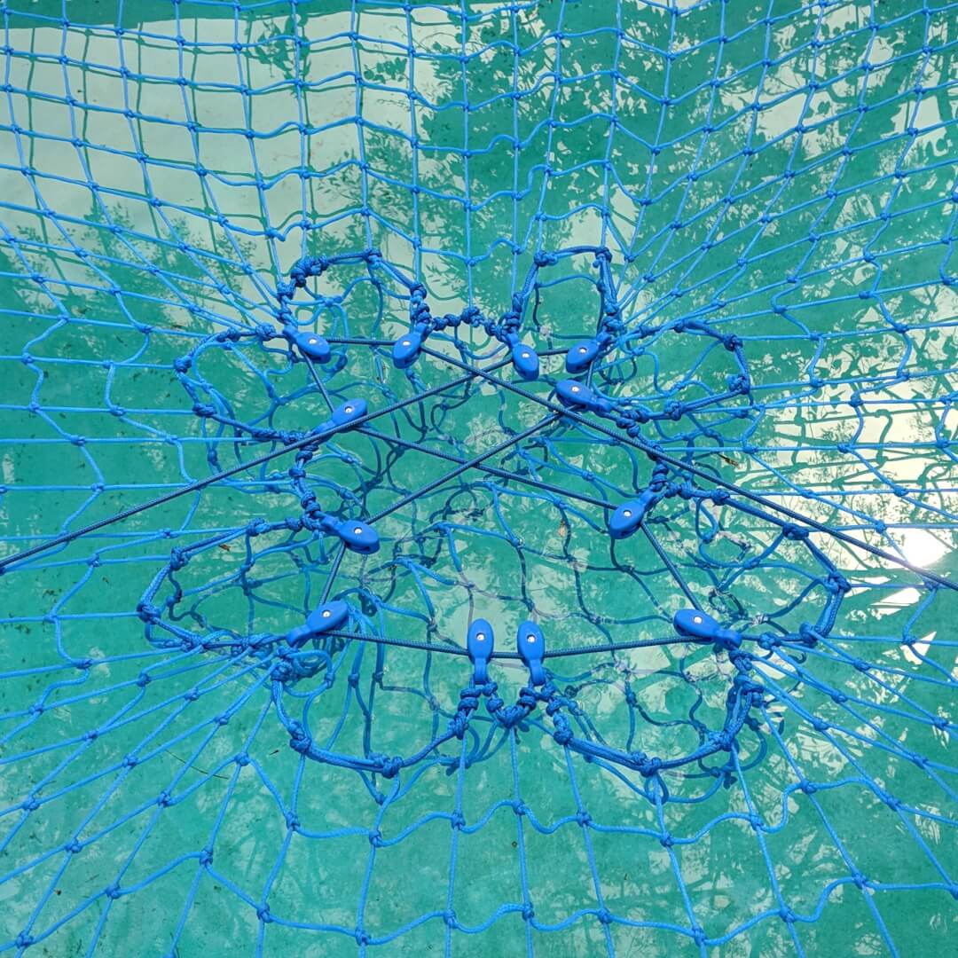 Blue Pulley CTS on pool Blue Pulley's on Blue CTS